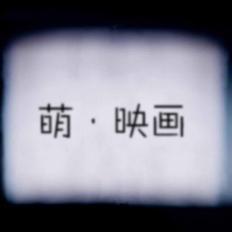 POCO攝影 用光影敘事，打造專屬的電影級影像體驗